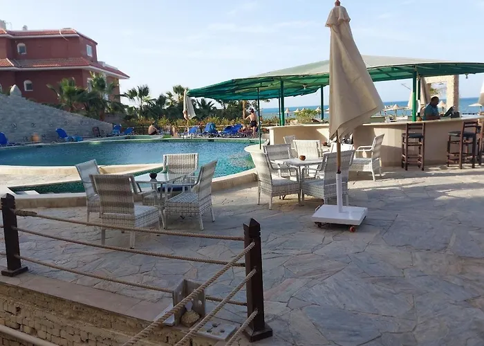 Resort Turtles *